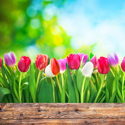 hope community spring into action